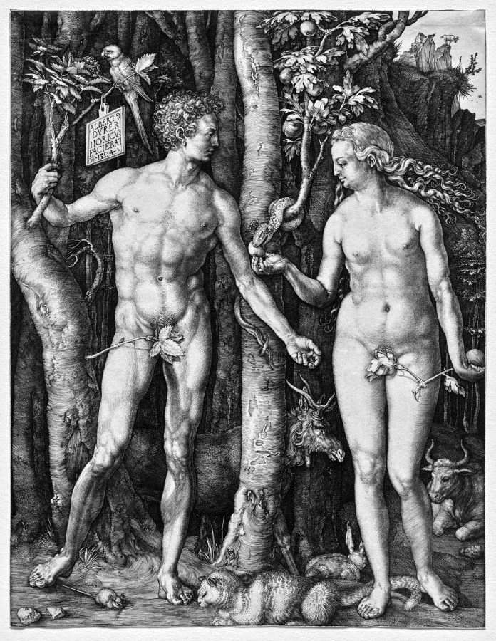 Albrecht Durer, Adam and Eve, 1504